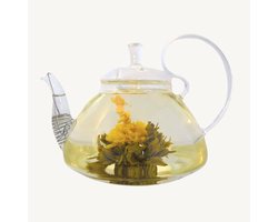 Theecy Bloementhee Jasmine Eastern Fair - Luxe Cadeauthee Geschenkset 9 Stuks