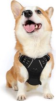Harnais pour chien Taille S