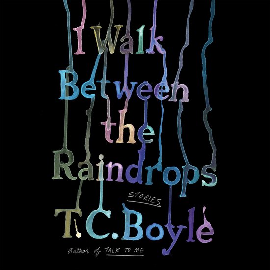 I Walk Between the Raindrops - cover