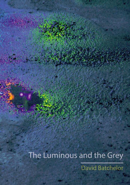 Couverture de livre avec le titre 'The Luminous and the Grey' par David Batchelor, présentant un motif abstrait de taches violettes, vertes et jaunes sur fond gris.