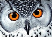 Wizardi Diamond painting WD243 - Owl's Look 38x27 cm