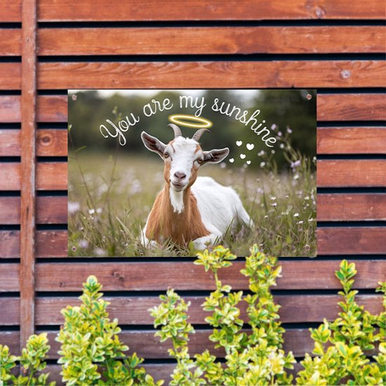 Geit in bloemenveld met tekst - Geit poster - Tuinwanddecoratie dier - Digital Art - Tuinaccesoires voor aan de muur - Waterafstotende wanddecoratie - tuinposter 75x50 cm