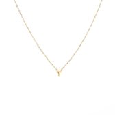 Go Dutch label ketting hart N8829-3 Rosé