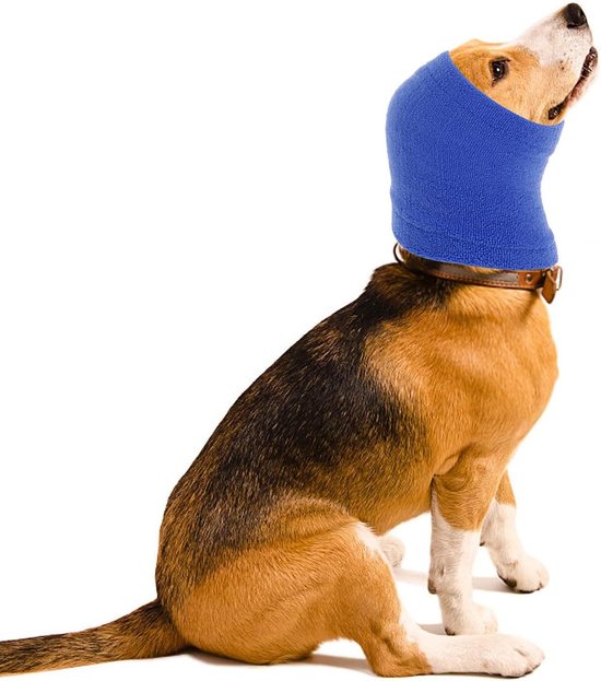 Bange Hond - angst bij onweer, vuurwerk, stofzuiger, etc. - LichtWesen Nederland