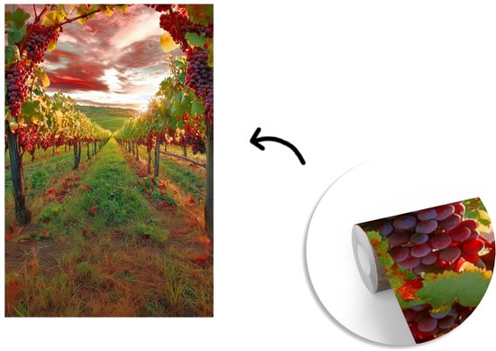 Behang - Fotobehang Wijngaard - Druiven - Zonsondergang - Breedte 200 cm x hoogte 300 cm