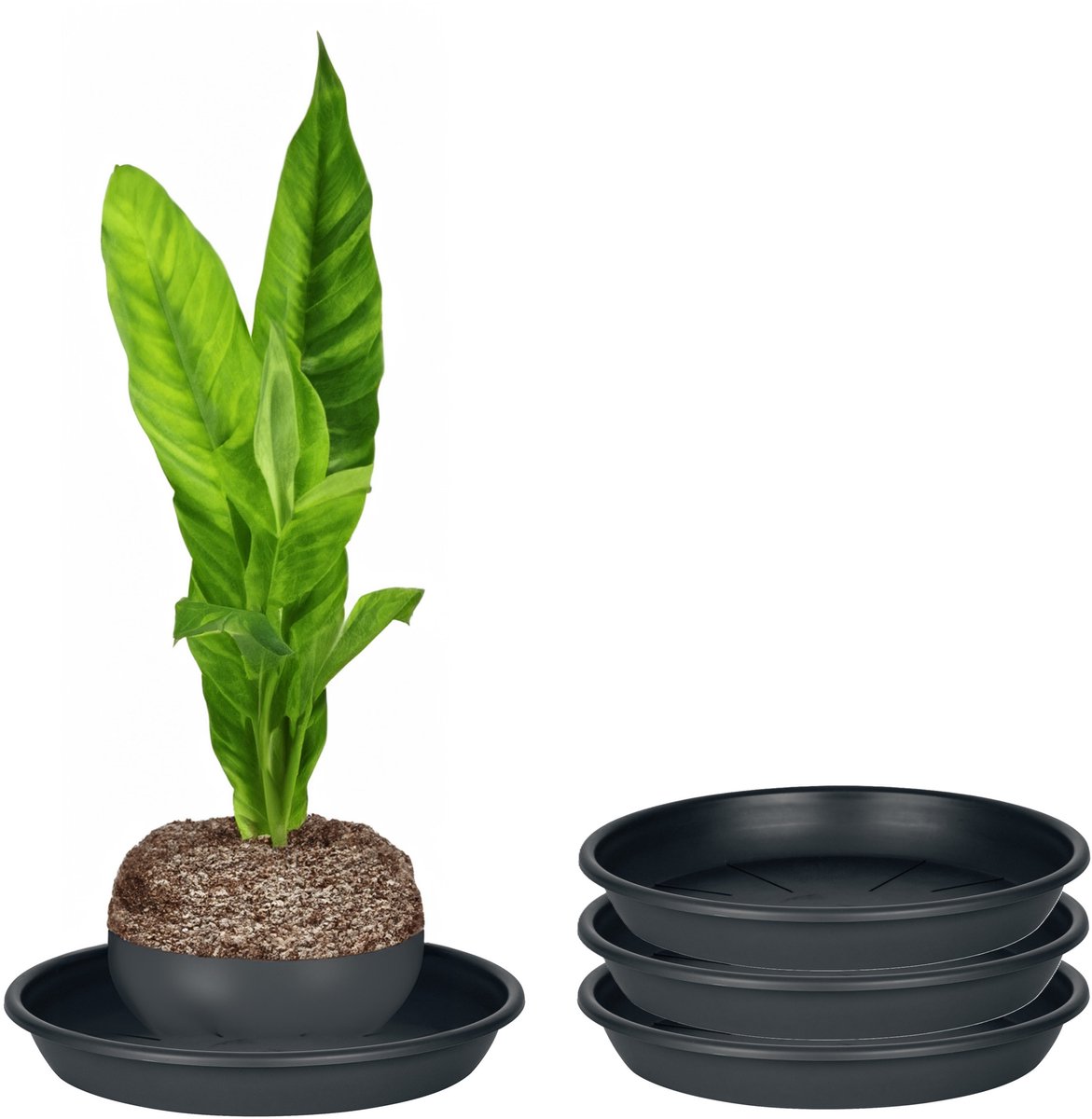 Juypal Plantenschotel - 3x - zwart - kunststof - Dia 15 cm - onderschotel/opvangschaal
