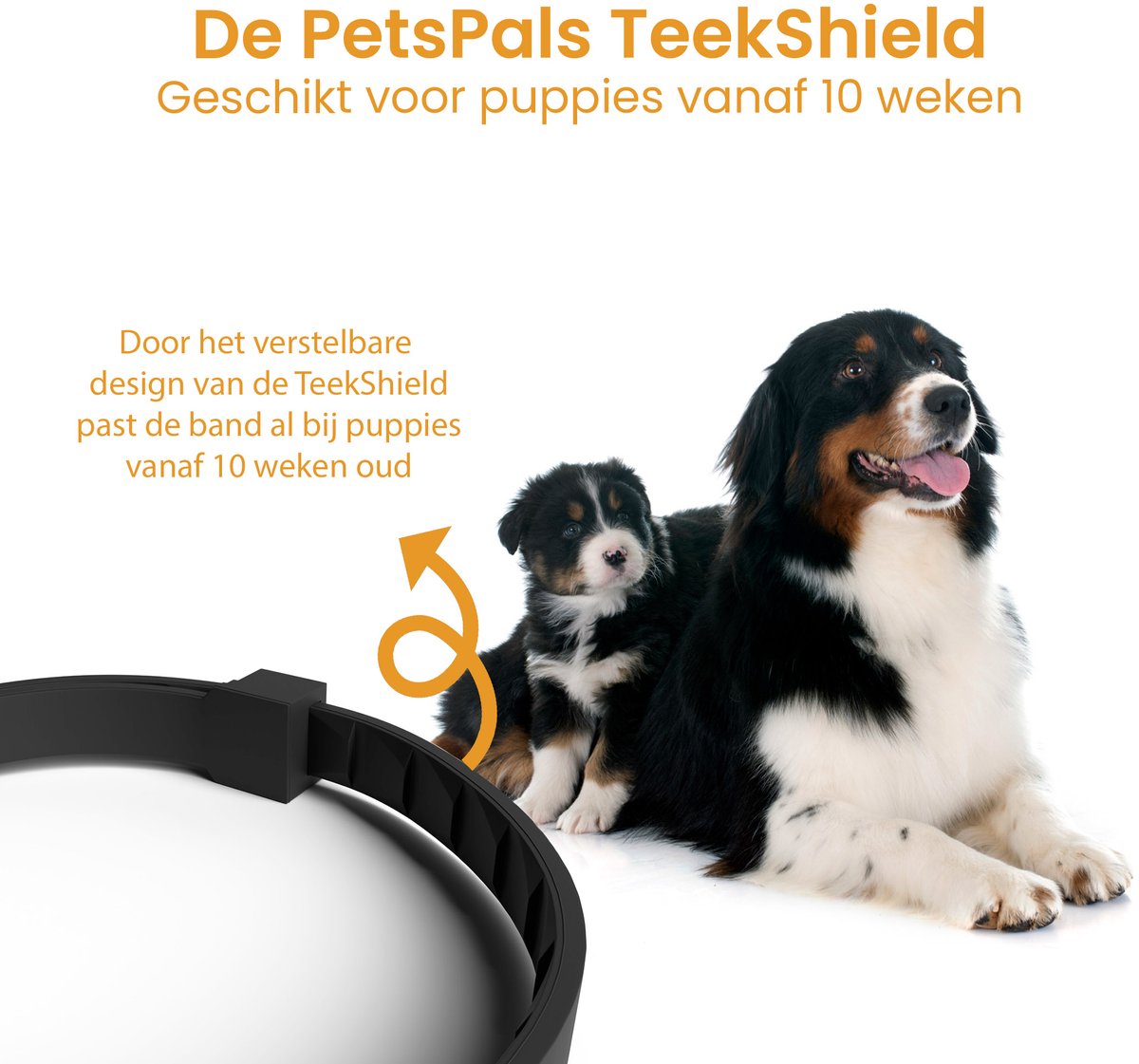 PetsPals TeekShield™ Natuurlijke Halsband voor Honden – Verstelbaar en Comfortabel - Met Natuurlijke Oliën – foto 4