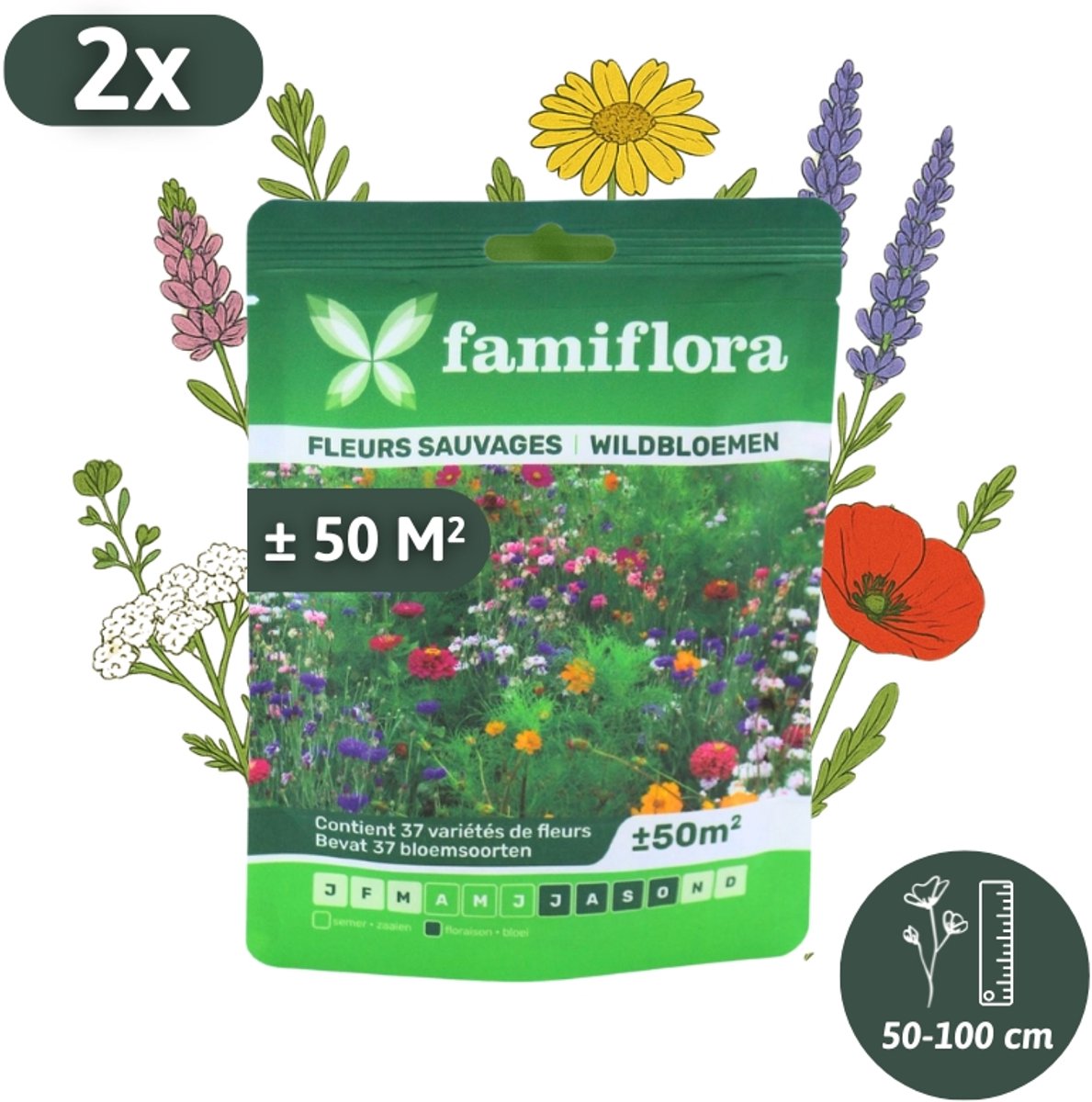 Famiflora wildbloemenmengsel voor bloemenweide tot 100m² (2 zakjes) - 37 verschillende bloemsoorten - Bloemenweide zaad - Wildbloemen zaad - Wilde bloemenzaad