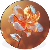 WallCircle - Wandcirkel - Muurcirkel - Verre - Bloem - Lumière solaire - Aluminium - Dibond - 60x60 cm - Intérieur et Extérieur