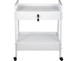 Laboratoriumwagen, 2-Laags Multifunctionele Wagen Van Roestvrij Staal, Medische Wagen met 2 Laden, Verrijdbaar, Wit Gelakt, Zwenkwielen, voor Laboratorium, Ziekenhuis, Tandarts, Salon en Schoonheidssalon