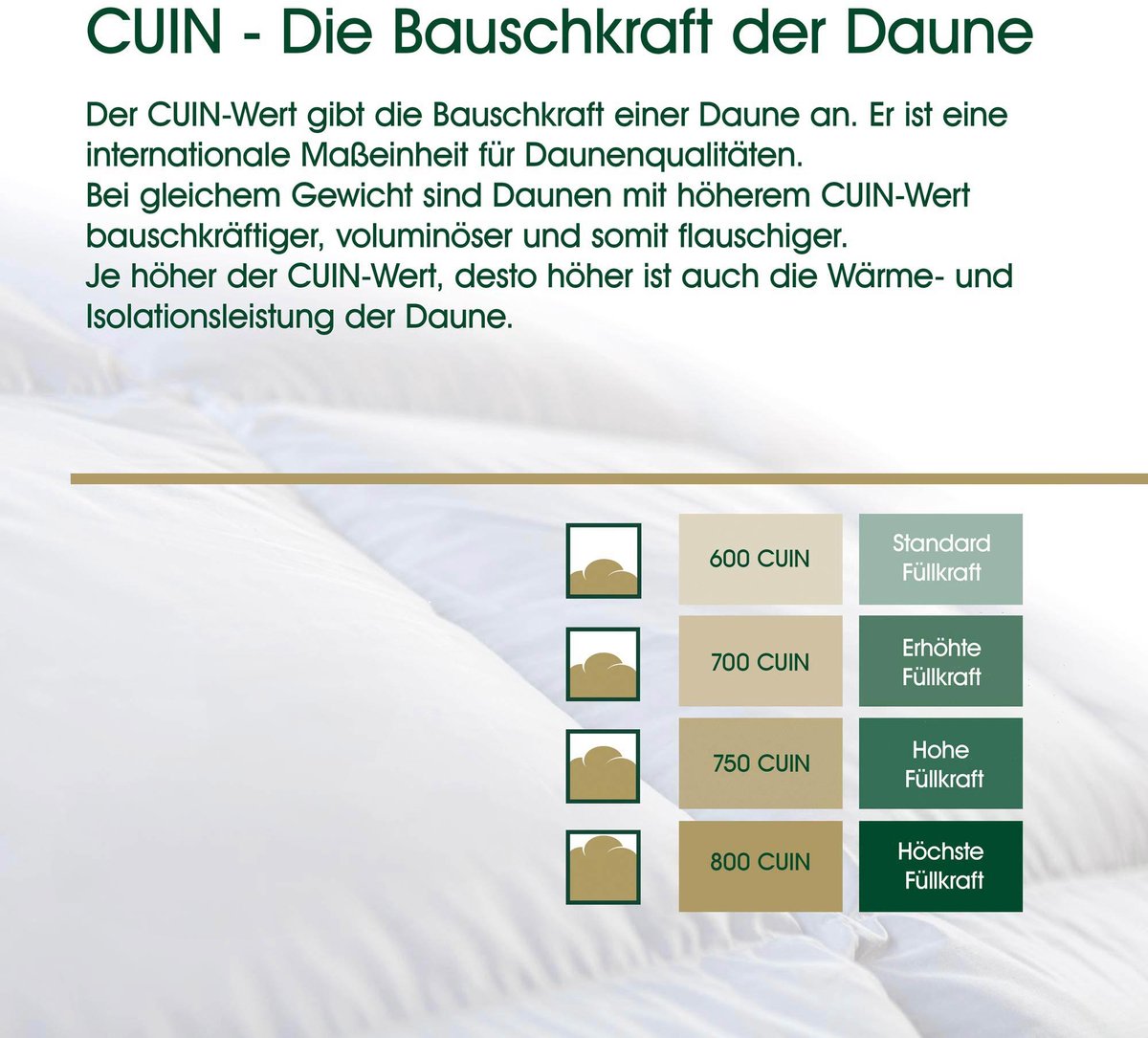 HANSKRUCHEN Premium de Luxe donzen dekbed Warm 240×220 Made in Germany