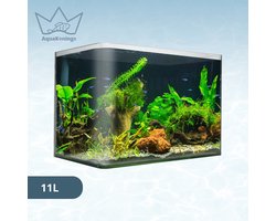 AquaKonings – Aquarium – Aquarium met afgeronde hoeken - Aquariumkit 30x18x21 11L