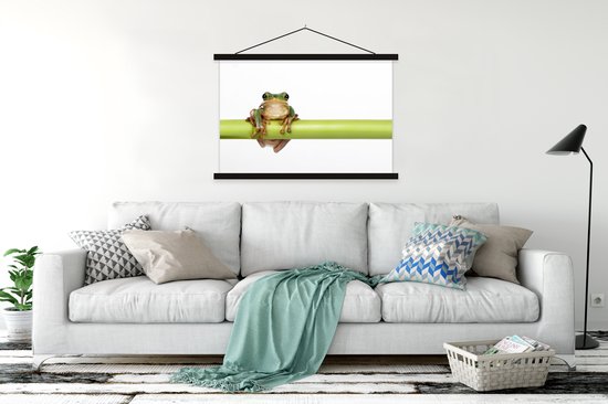 Grenouille devant fond blanc affiche textielposter lattes noir 150x100 cm
