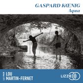 Livre audio numérique