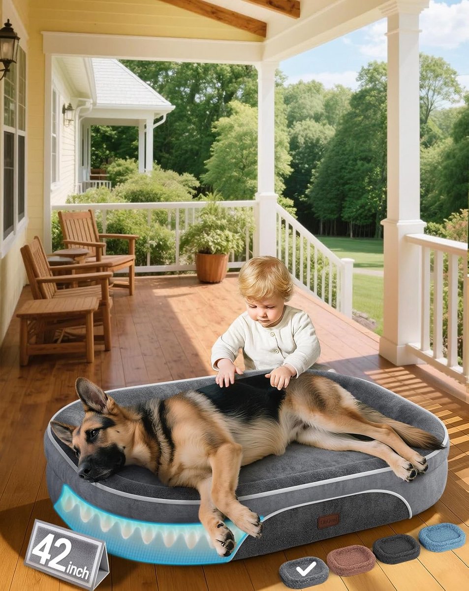 Orthopedisch hondenbed voor extra grote honden met eierschuim, afneembare hoes en antislip bodem