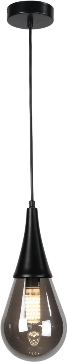 Hanglamp met 1 lichtpunten, smoke kleur glas en ronde plaat
