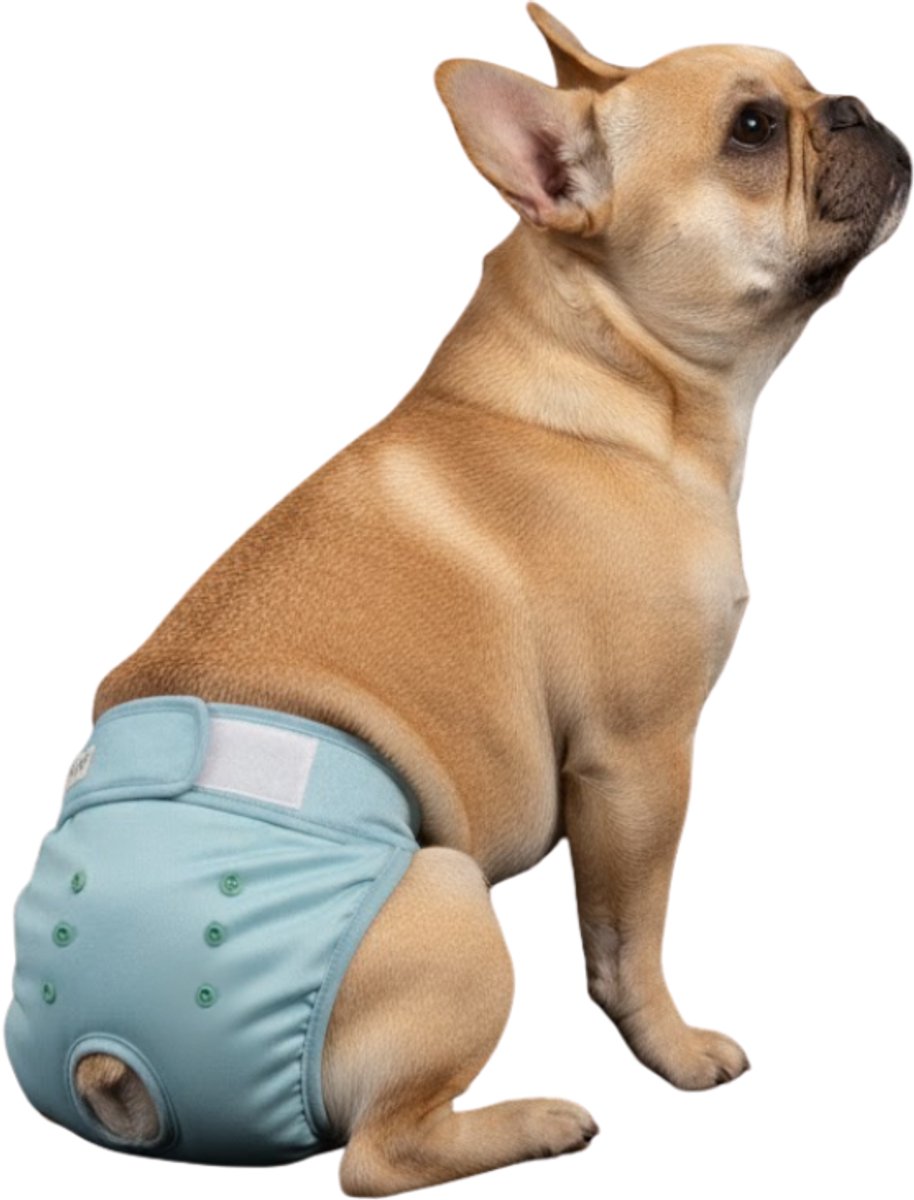 Sharon B - Honden Loopsheidbroekje - Maat M - Voor Middelgrote Honden - Blauw - Taille 28-33 cm - Bij incontinentie of loopsheid