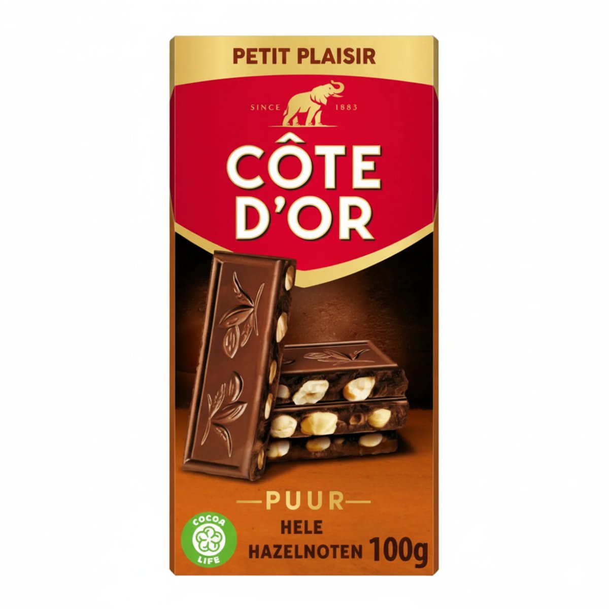 Cote d’Or Bloc Puur/Noot (20x 100g)