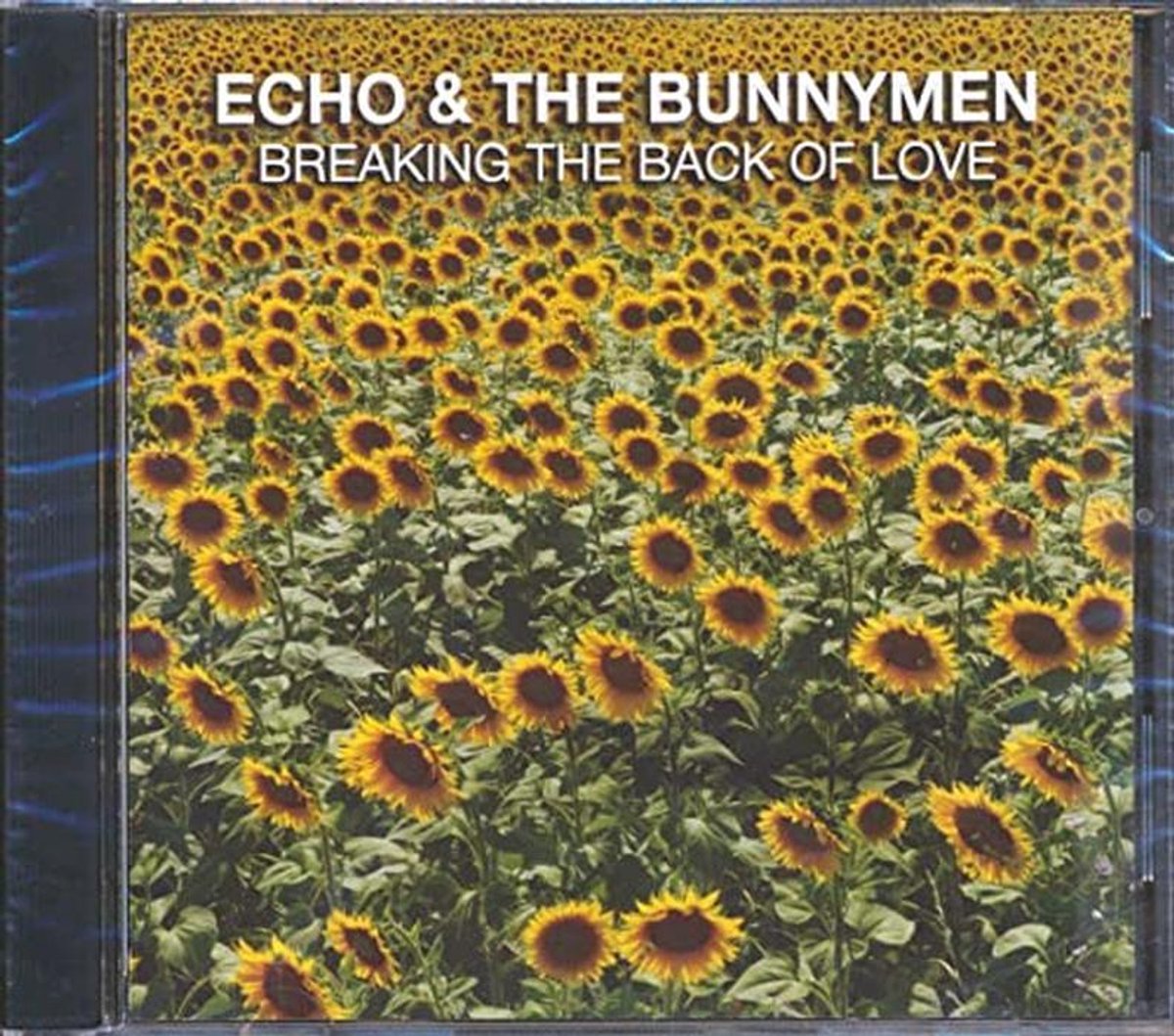 Breaking The Back Of Love - Post-Punk Psychedelic Live Album