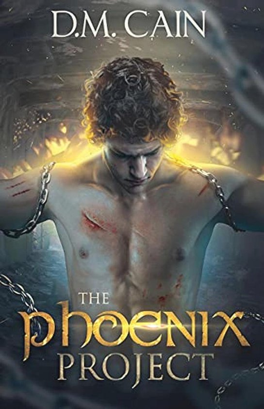 The Phoenix Project - cover