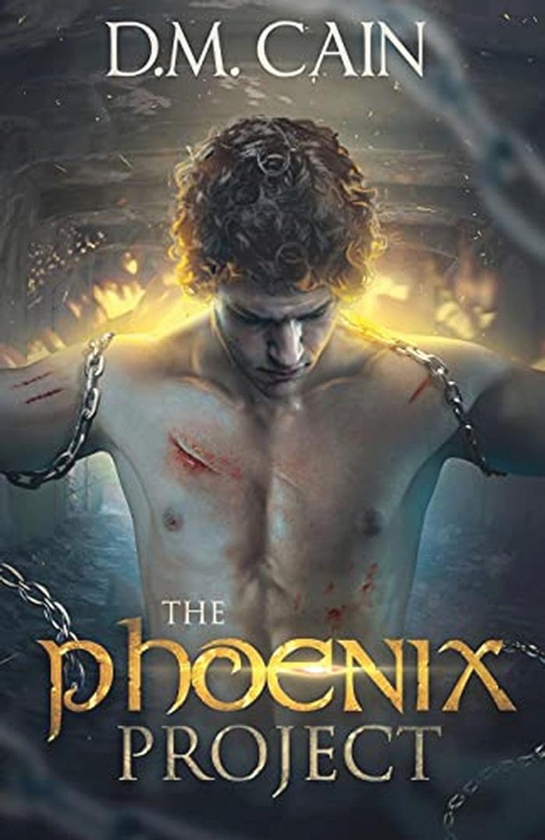 The Phoenix Project - The - €55,72