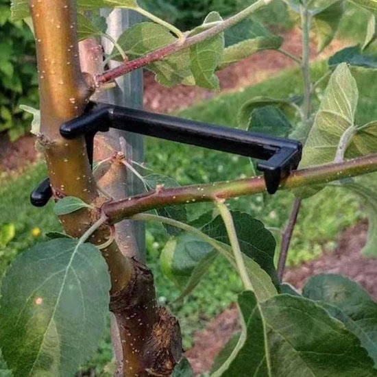 Takkentrekker - Boomstrooier Plantensteun - Bomen Vormgeven - Verstelbaar Gereedschap - 20 stuks - Niet gespecificeerd — afbeelding 5