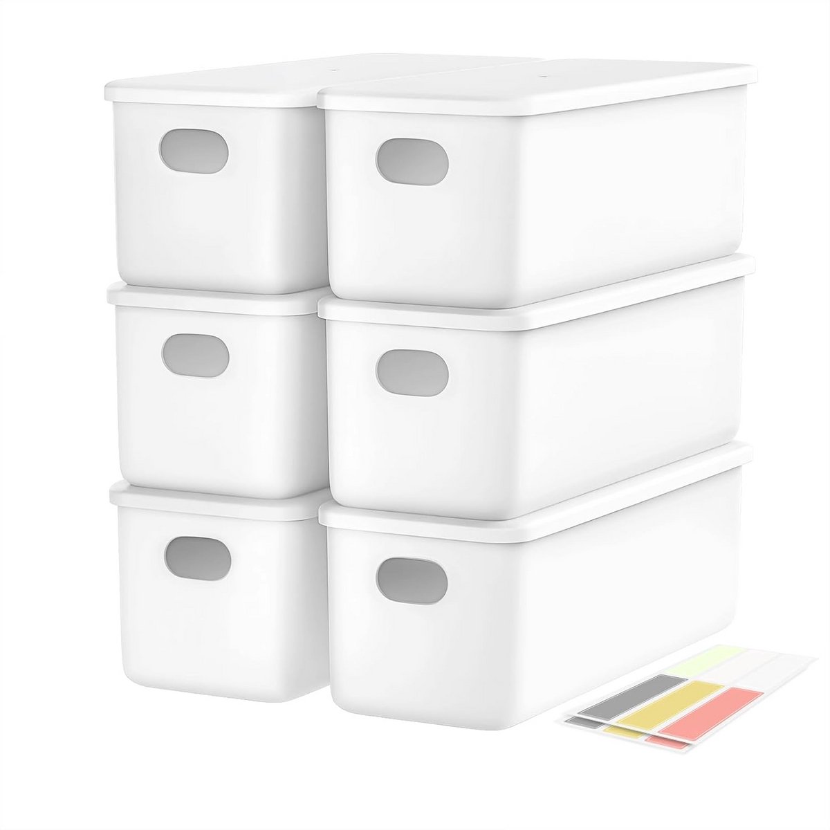 Set van 6 Opbergdozen met Deksel en Handgrepen - Kunststof Opbergmanden Organizer