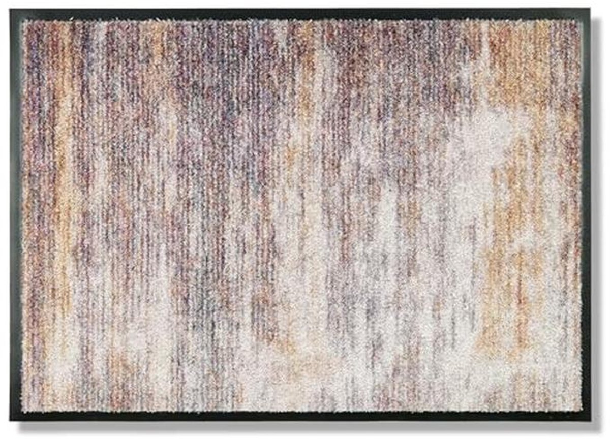 Binnendeurmat - Vuilvangmat - Houdt Huis Schoon - Wasbaar op 30°C - 67 x 100 cm - Kleurrij