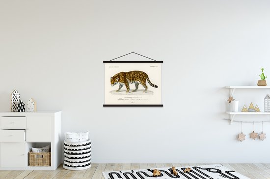 Affiche scolaire - Jaguar - Vintage - Animal - 60x45 cm - Lattes noires