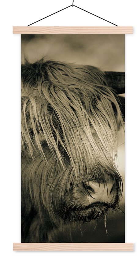 Porte-affiche avec affiche - Affiche scolaire - Highlander écossais - Animaux - Cheveux - 90x180 cm - lattes vierges