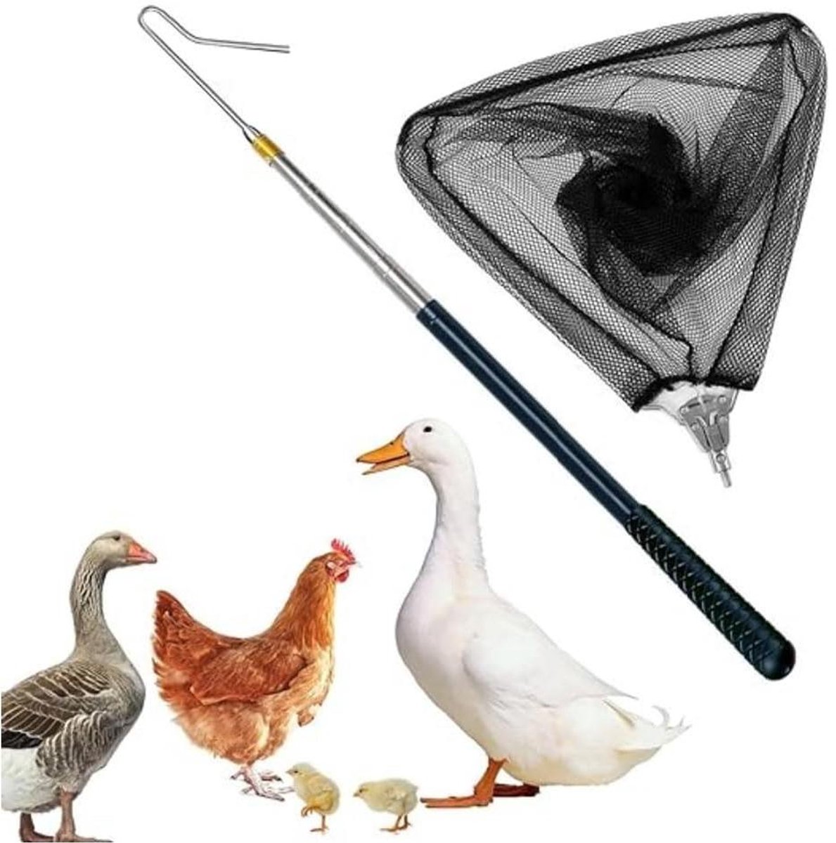 Cosensi - Intrekbare Kippenvanger-Poothaak en Vangnet Set - Roestvrij Staal - Pluimveehouderij - Kippen - Kalkoenen - Ganzen - Eenden - Vogels - Kleine Dieren