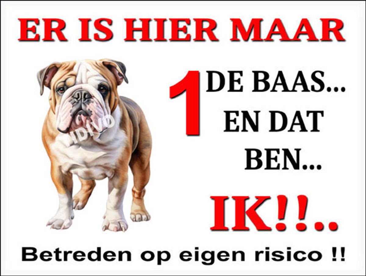Engelse Bulldog 26