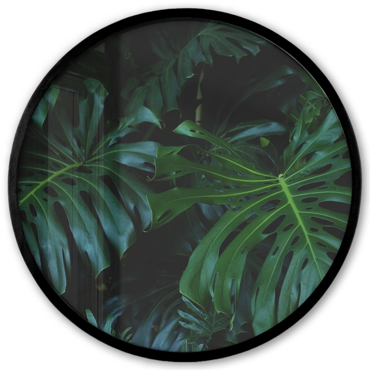 FrameYourWall Poster in lijst Rond - Fotolijst 40x40 cm - Posters - Monstera - Bladeren - Tropisch - Jungle - Ronde posterlijst zwart - Decoratie - Wanddecoratie woonkamer - Muurdecoratie slaapkamer Multicolor