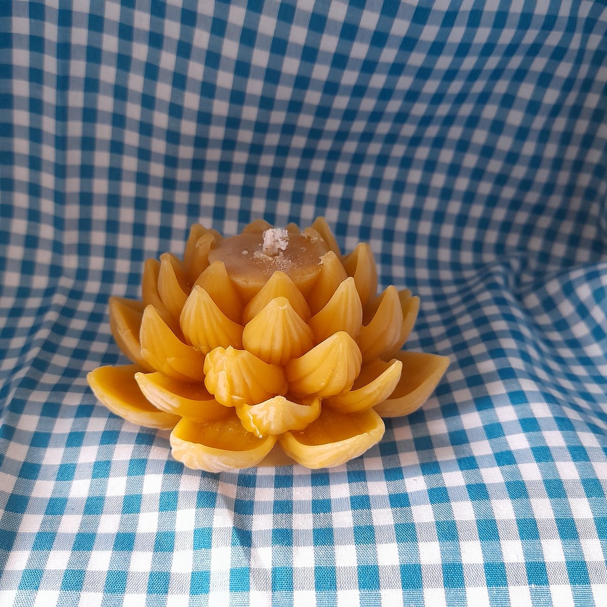 Bijenwas kaars, lotusbloem, groot