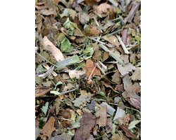 Moringa & Graviola Wellness Tea 100g