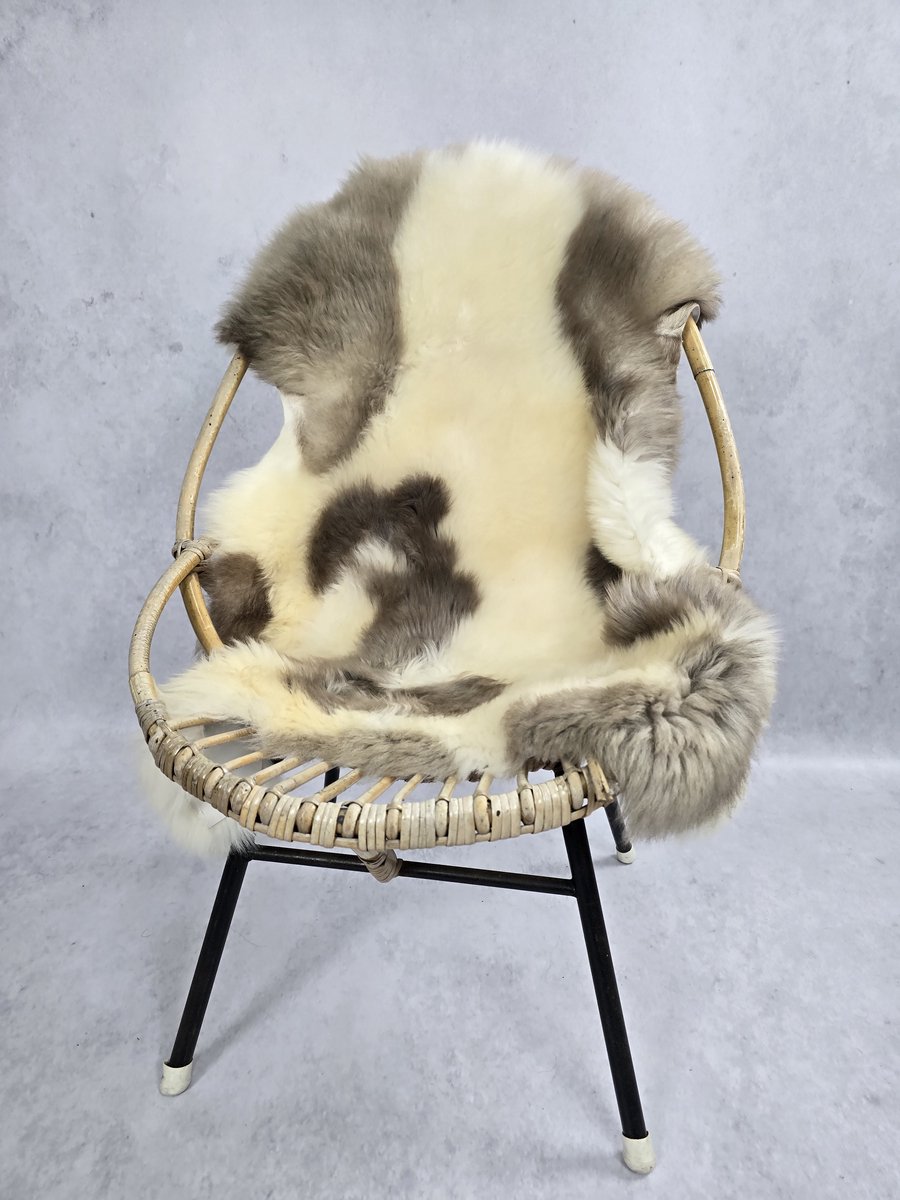 Schapenvacht Albanees – Woondecoratie – Exclusieve collectie – Wit, Beige, Grijs – 100% echt natuurlijke wollen vacht – 100x75 cm