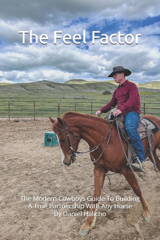 The Feel Factor by Daniel Halicho - cover