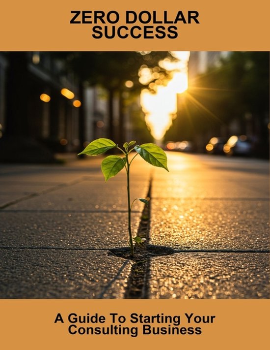 Zero Dollar Success - cover