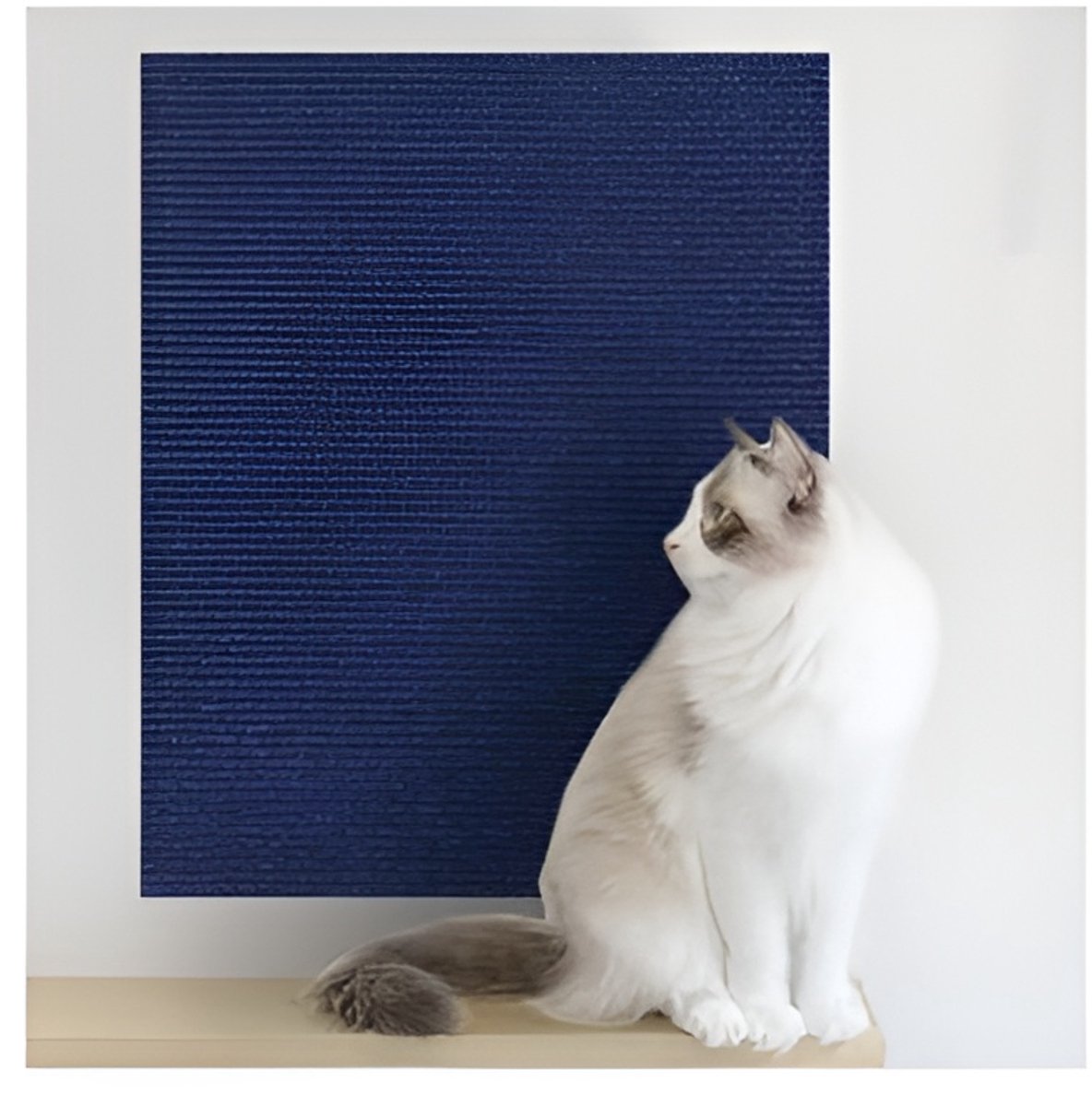 katten krabmat - Bescherming van meubels - Voor banken en stoelen - Krabbescherming 40x100cm Blauw