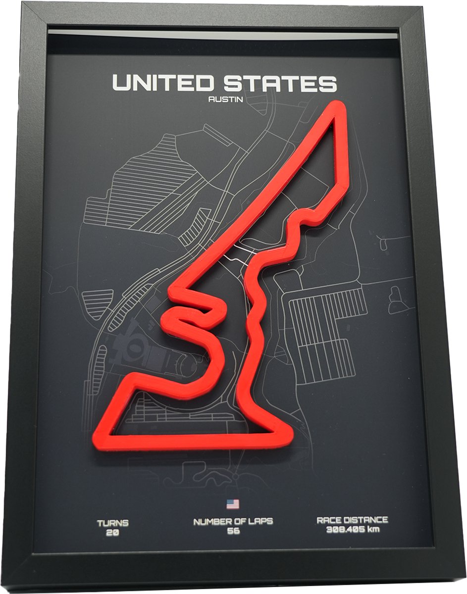 Austin Verenigde Staten 3D F1 circuit schilderij