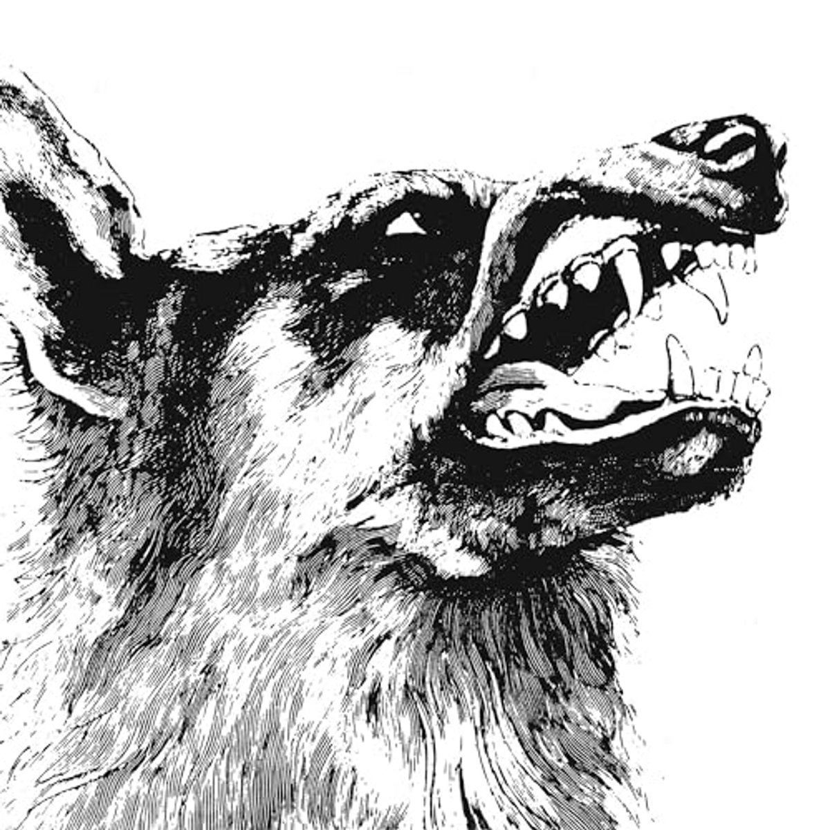 Progressieve Post-Rock Muziek - I, Vigilante Album
