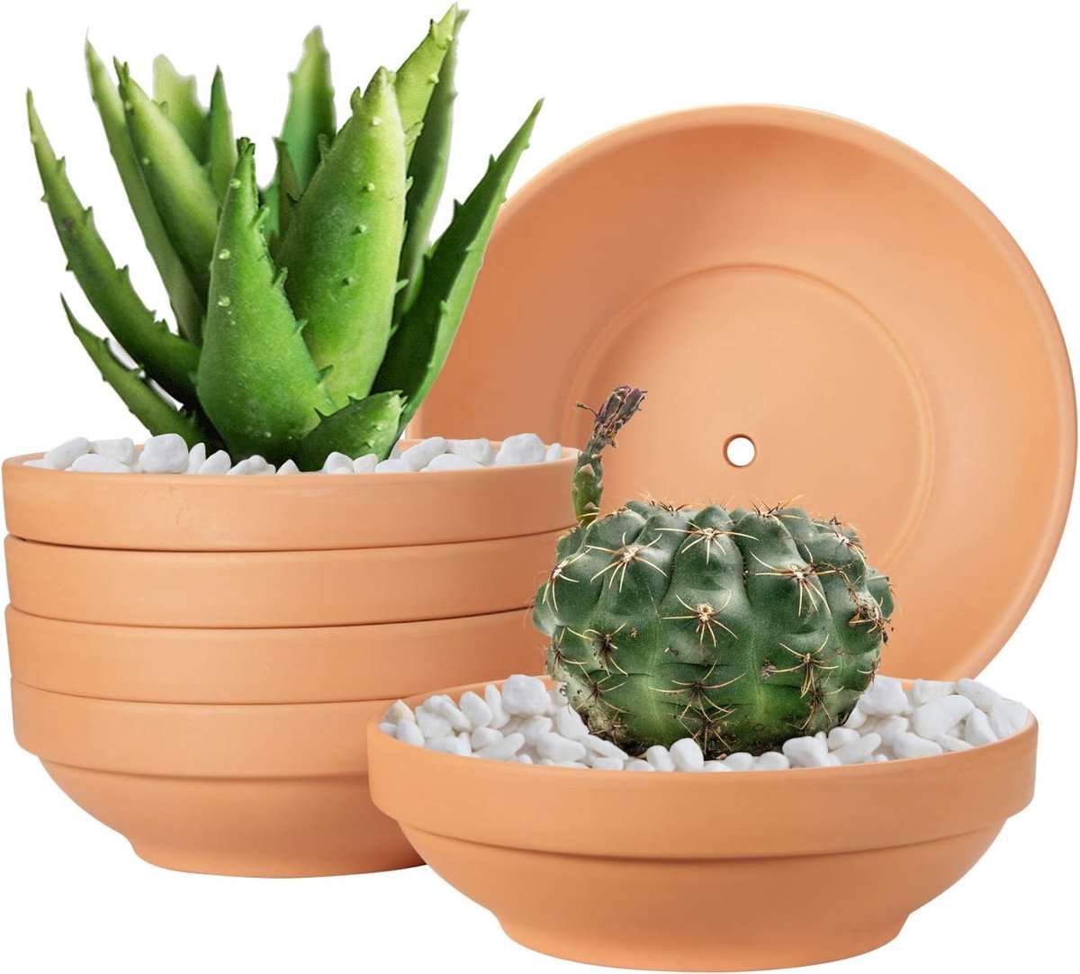 Famanu - Set van 6 terracotta kleipotten 16 cm met drainage