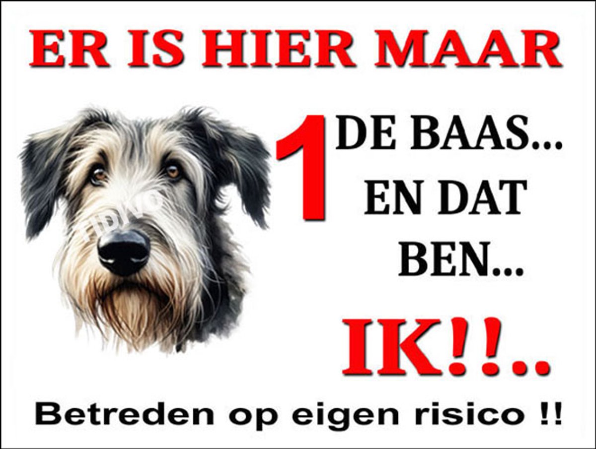 Ierse Wolfshond 26