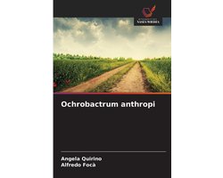 Ochrobactrum anthropi