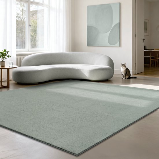 Vloerkleed Voor Woonkamer 60 x 80 cm Zacht en Pluizig Superzacht, Shaggy Pluizige Shaggy Vloermatten Modern Vloerkleed Voor de Slaapkamer/Woonkamer/Kinderkamer, Grijs