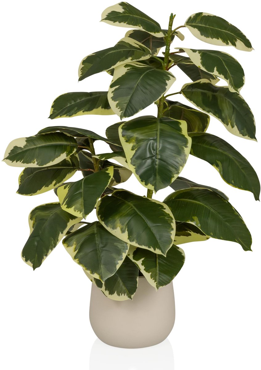 Unyqoos Groenblijvende kunstplant Ficus elastica met realistische uitstraling voor elk interieur