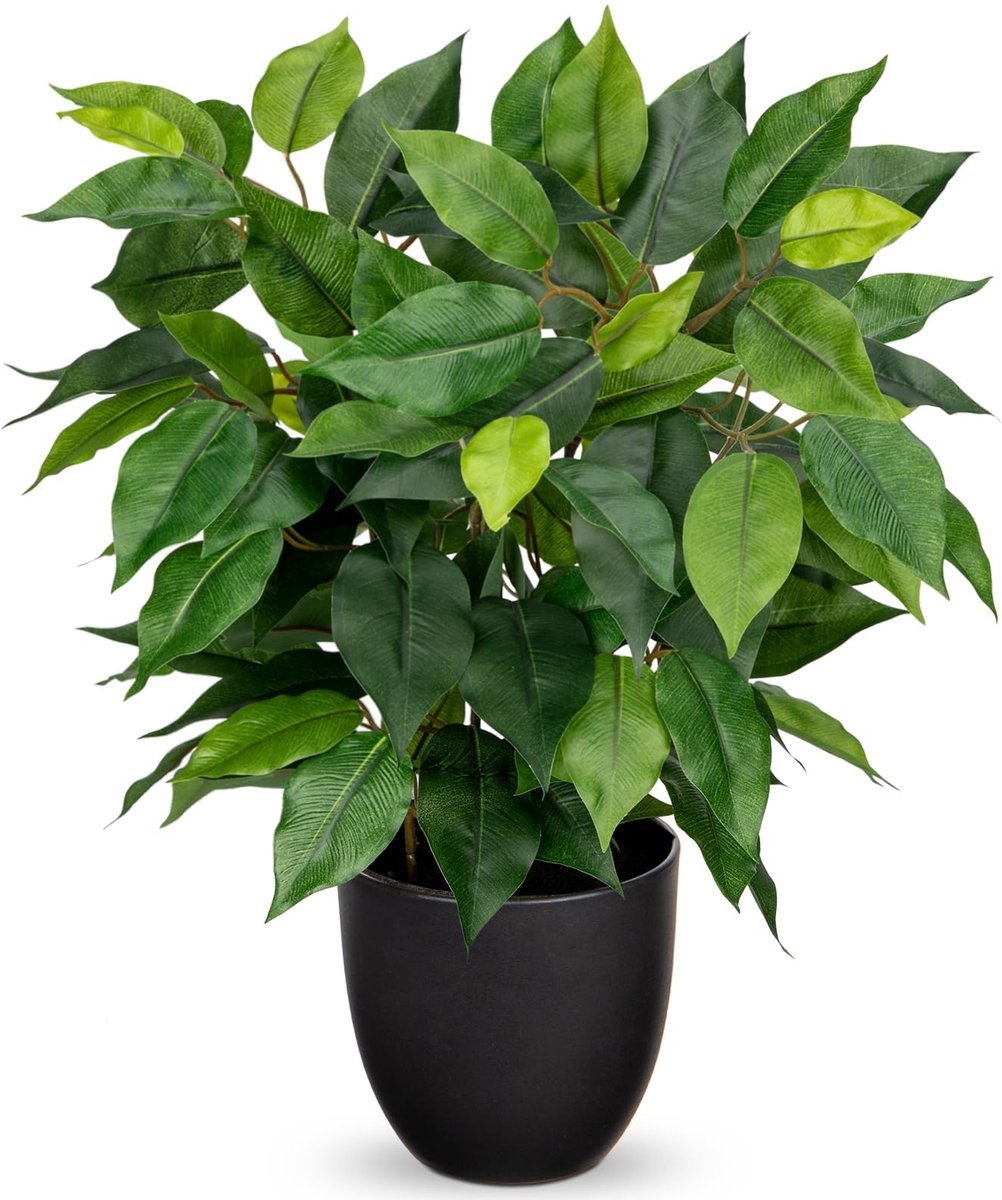 Unyqoos Realistische kunstficus in pot voor stijlvolle decoratie in huis of kantoor Groen