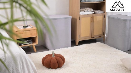 Panier à linge MAZAZU avec 2 compartiments - 100 litres - Trieur de linge avec couvercle - Poches de linge amovibles - Gris clair - Boîte de rangement pliable pour salle de bains et chambre à coucher - 56 × 40 × 67 cm