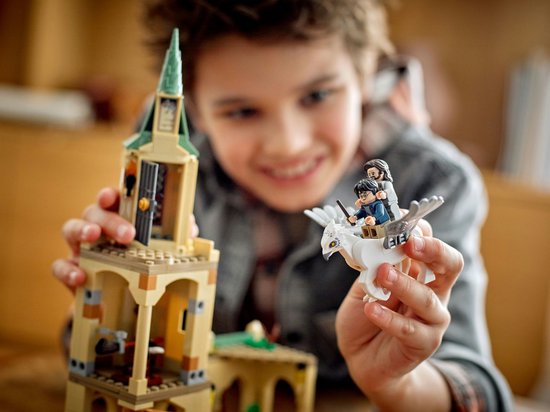 LEGO Harry Potter 76401 La Cour de Poudlard : le Sauvetage de Sirius