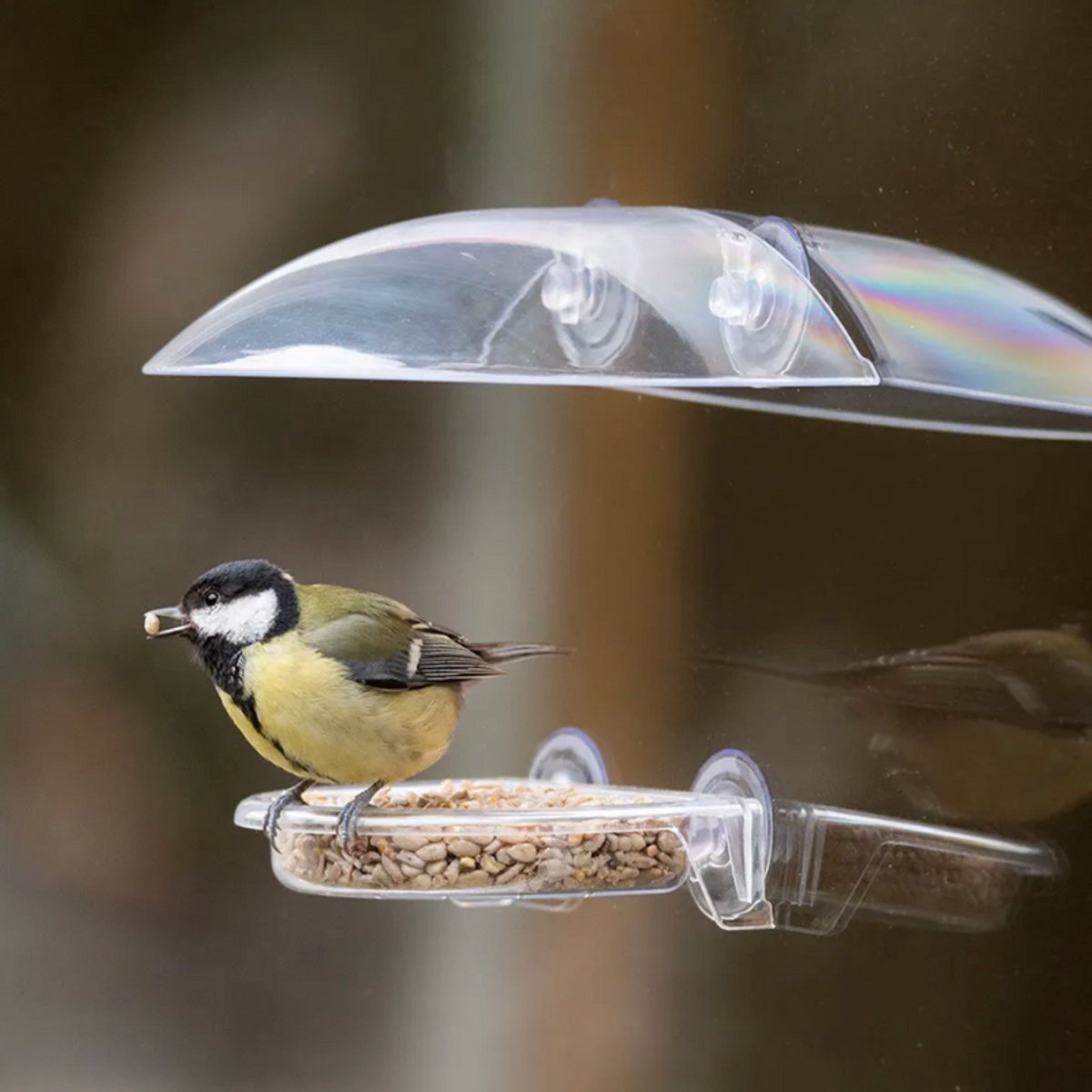 Vogelvoer Houder - Voederhuisje Voor Vogels - Vogelvoederhuisje - Vogelvoerhouder met zuignap transparant